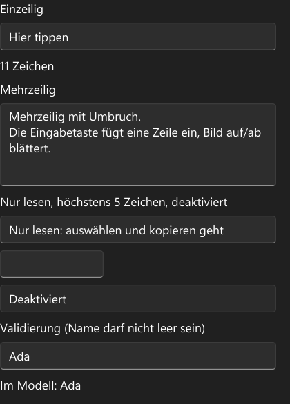 Vorführung: TextBox