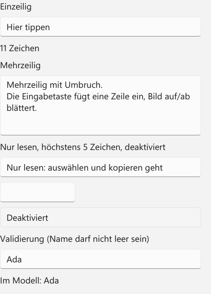 Vorführung: TextBox